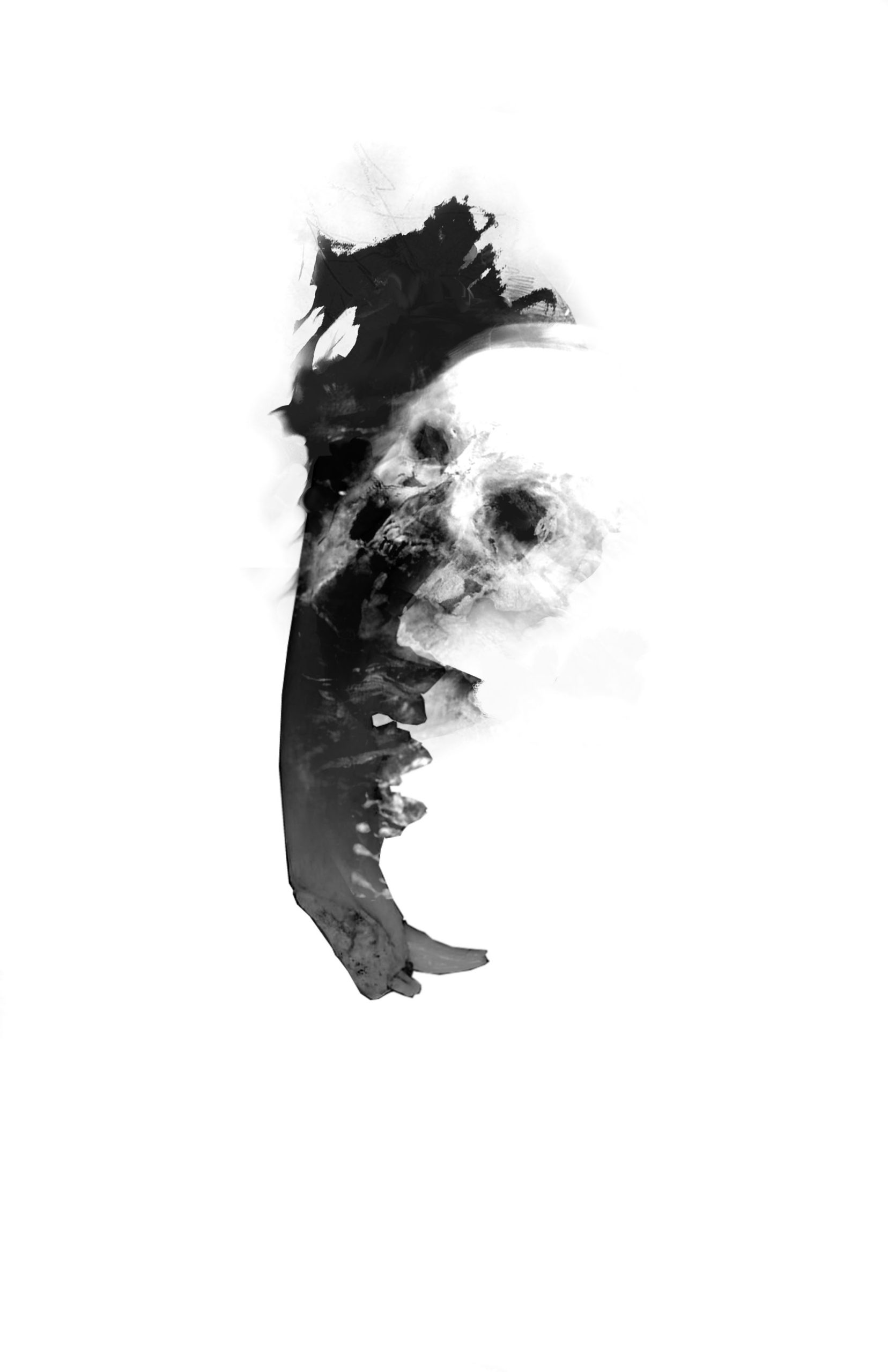 A long jaw bone melded with a human skull